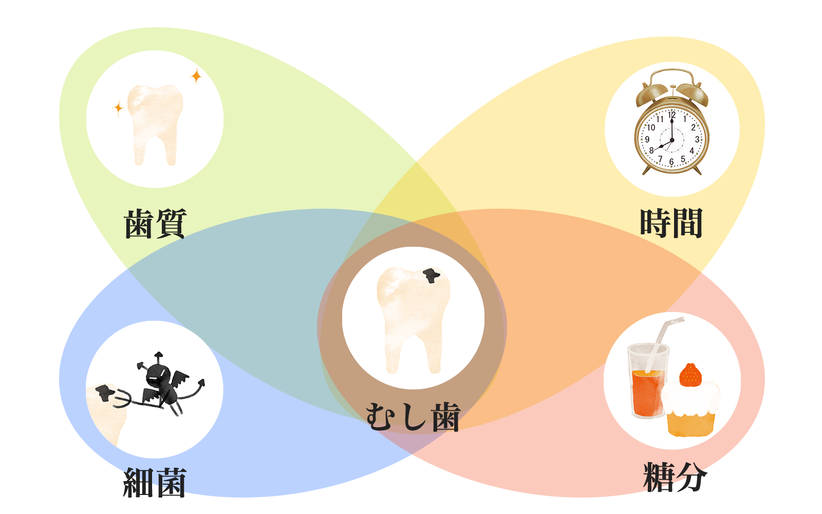 虫歯の原因